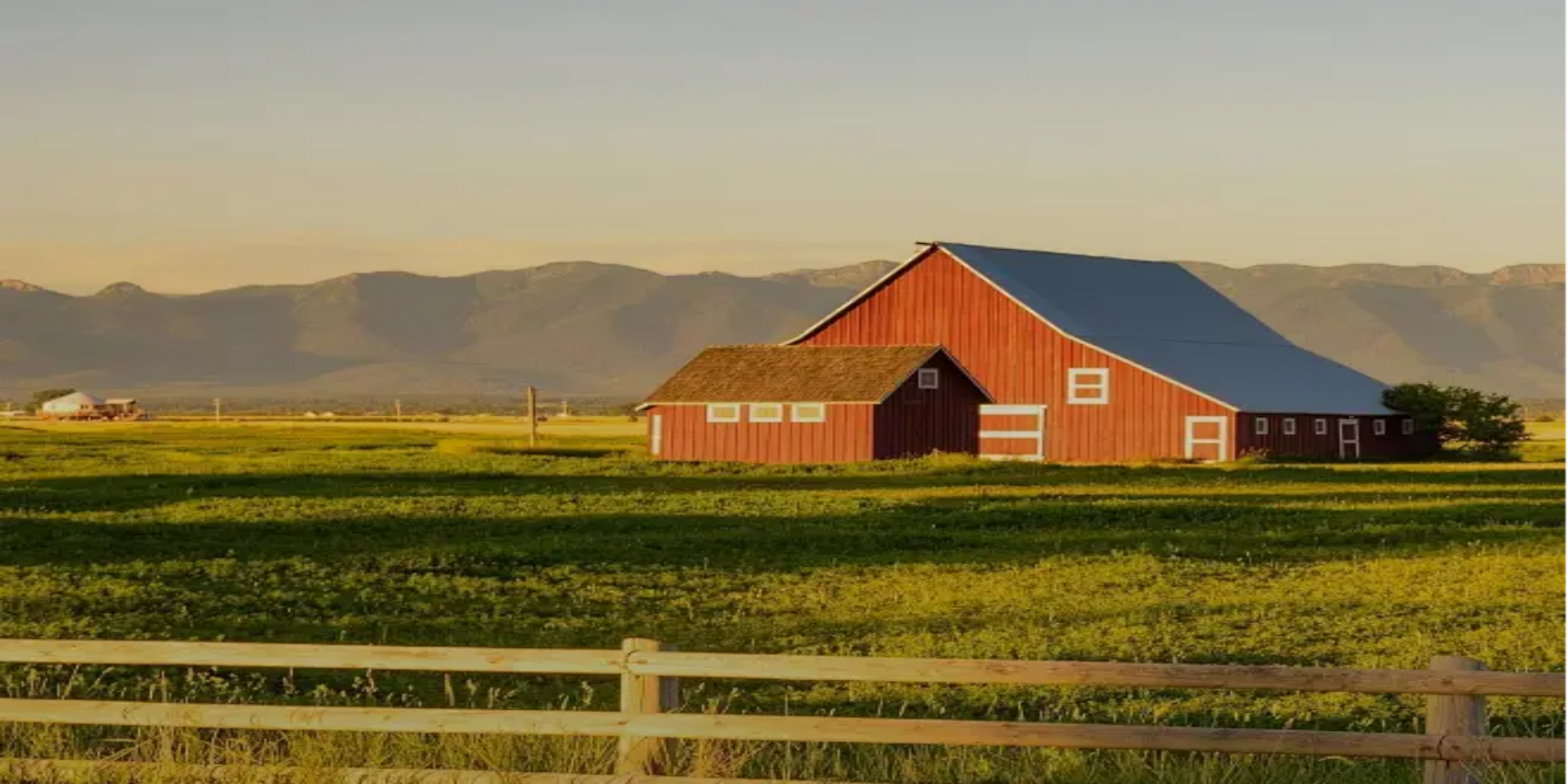 Best Cell Phone Boosters for Rural Areas in 2024 - Hiboost