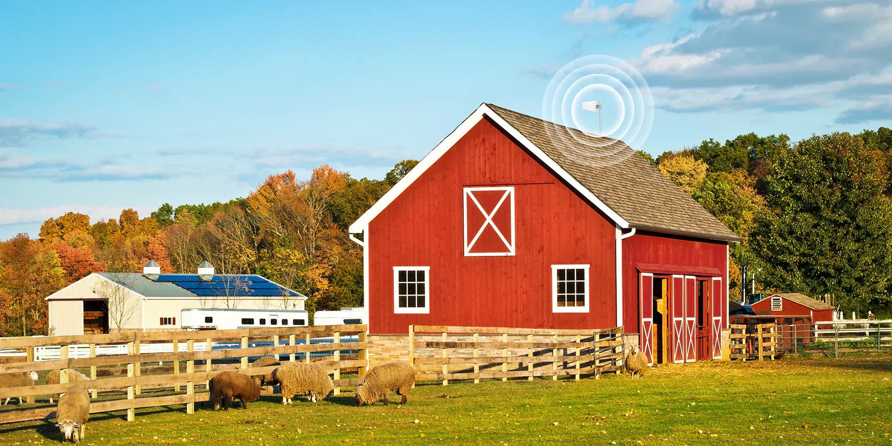 Best Cell Signal Boosters for Rural Homes in the US