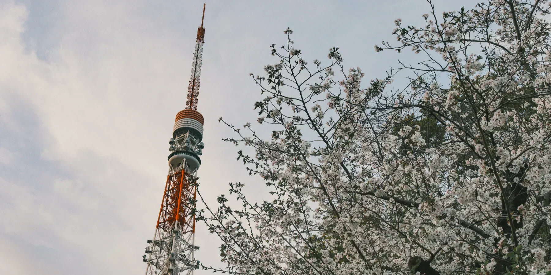 How Do I Find a 5G Tower Near Me