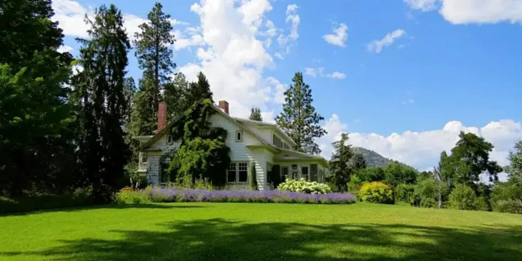 How to Boost Cell Phone Signal in Remote Areas