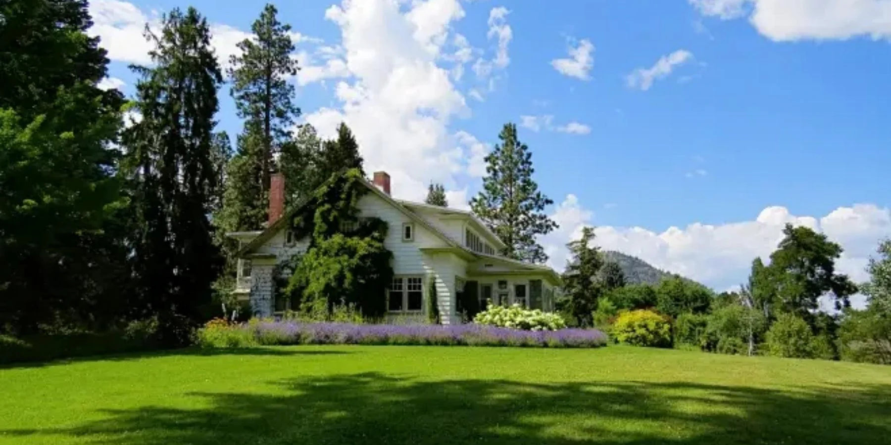 How to Boost Cell Phone Signal in Remote Areas